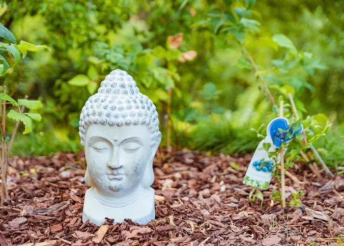 Tiny Messancy, une immersion dans la nature !