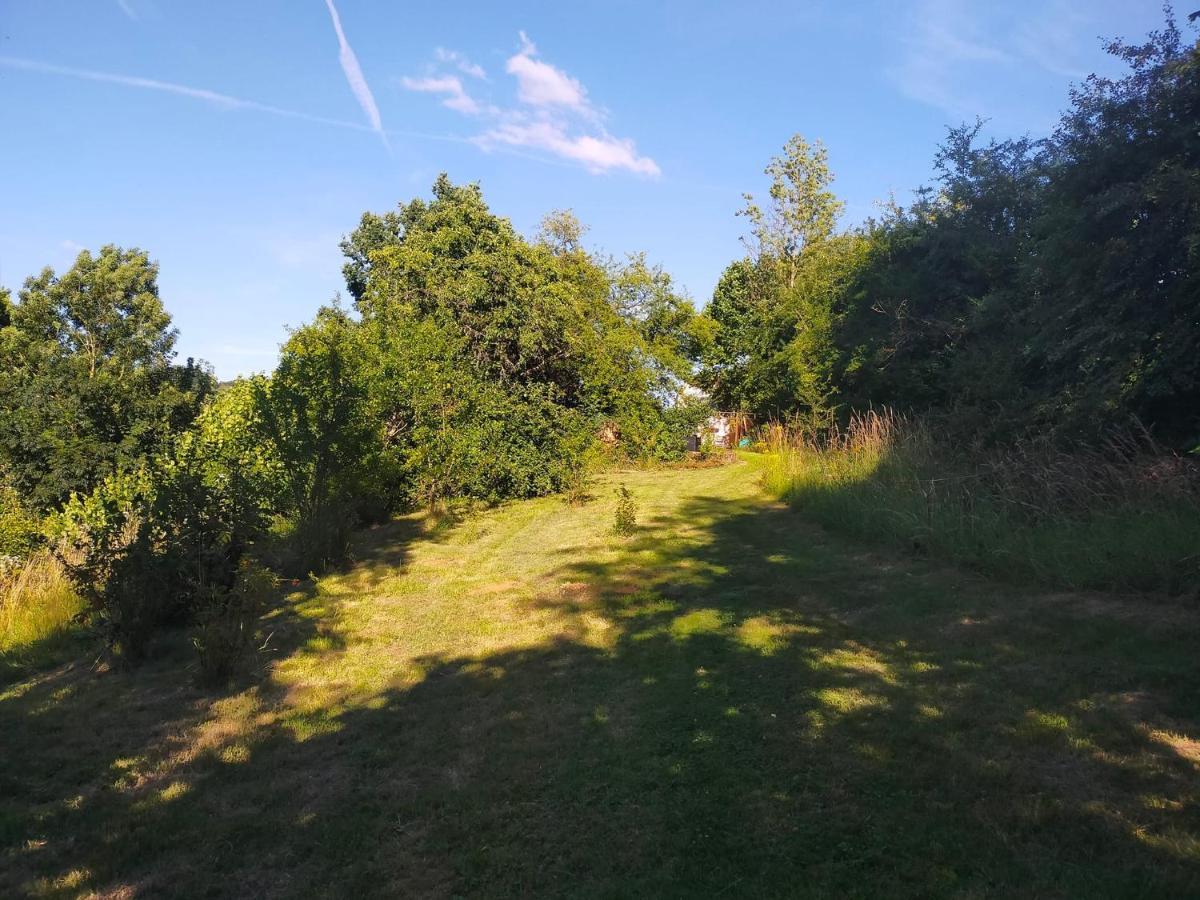 Tiny Messancy, Immersion Dans La Nature ! *